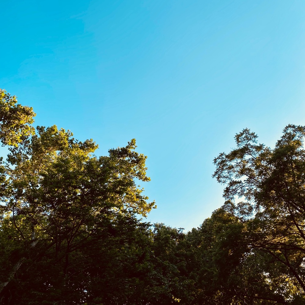 Meet your Posher, Tori